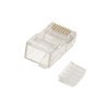 (kuva varten) Extralink CAT6 UTP RJ45 | RJ45 Connector | 8P8C 