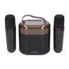 EXTRALINK KIDS KARAOKE LED SPEAKER 2 MICROPHONES BLACK EXTRALINK KIDS KARAOKE LED SPEAKER 2 MICROPHONES BLACK